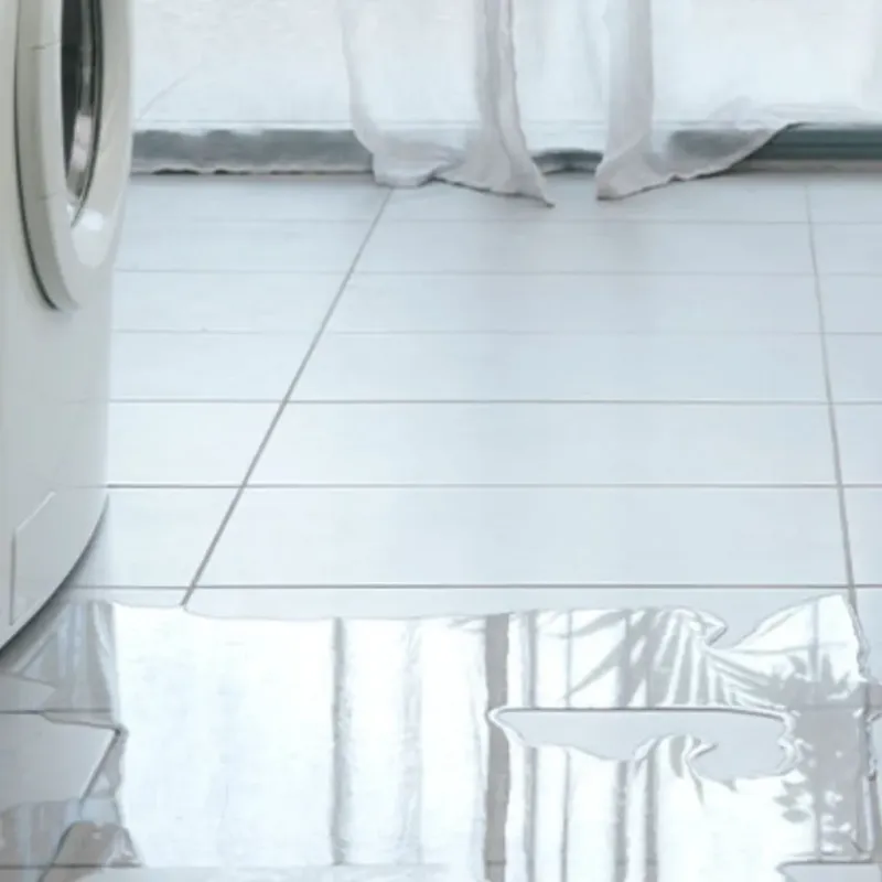 Appliance Leak Cleanup in Homer, AK